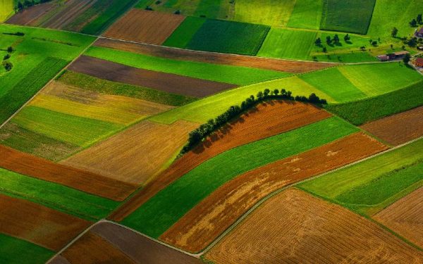 Aerial view of farm fields