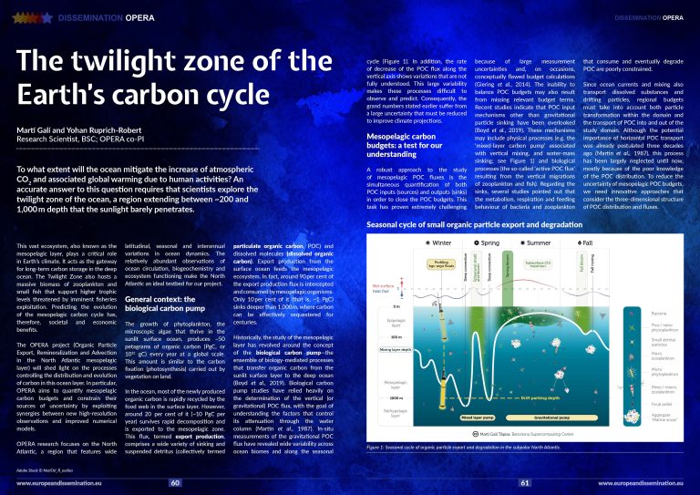 The twilight zone of the Earth’s carbon cycle
