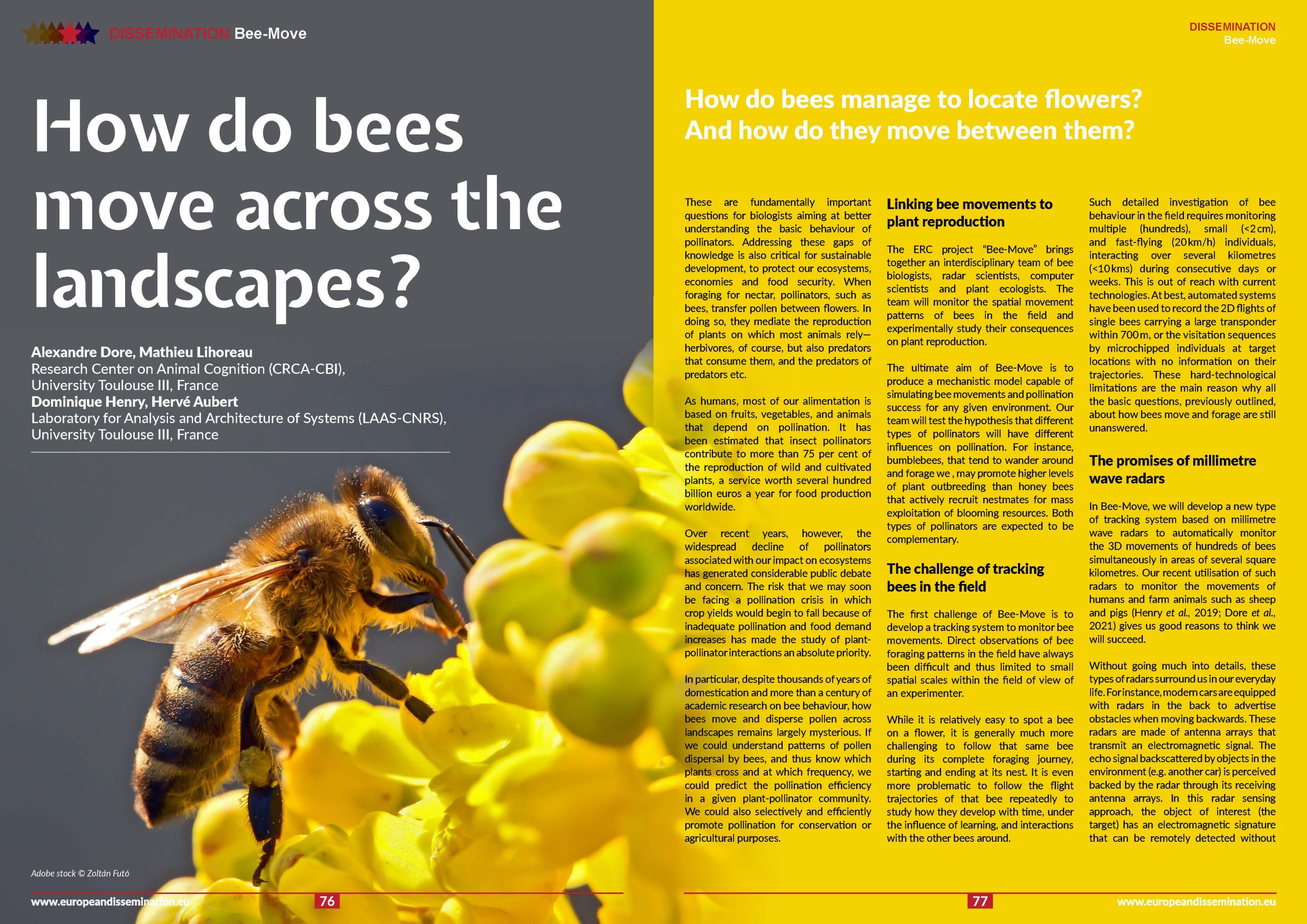 How do bees move across the landscapes? » EDMA