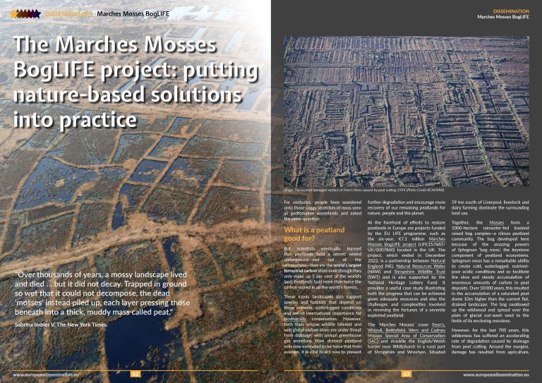 The Marches Mosses BogLIFE project: putting nature-based solutions into practice