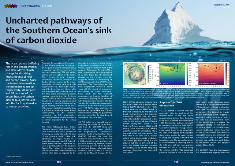 Uncharted pathways of the Southern Ocean’s sink of carbon dioxide
