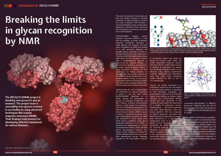 Breaking the limits in glycan recognition by NMR