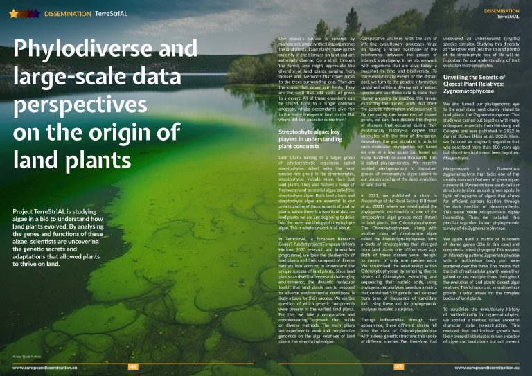 Phylodiverse and large-scale data perspectives on the origin of land plants