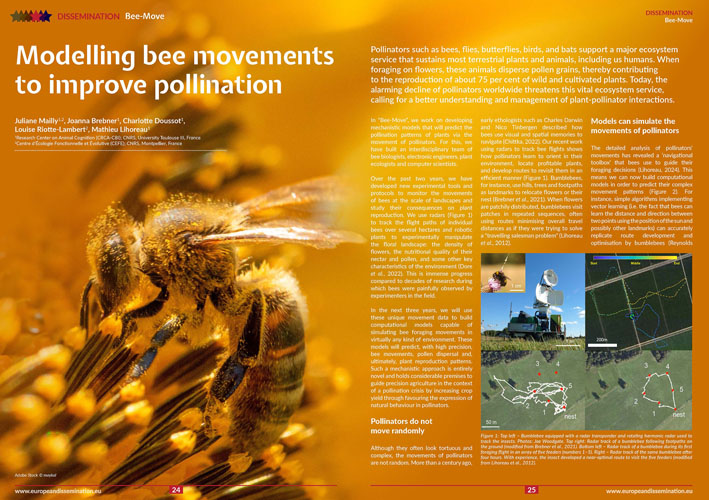Modelling bee movements to improve pollination