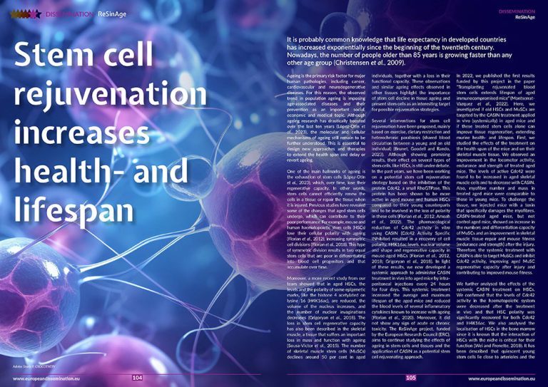 Stem cell rejuvenation increases health- and lifespan