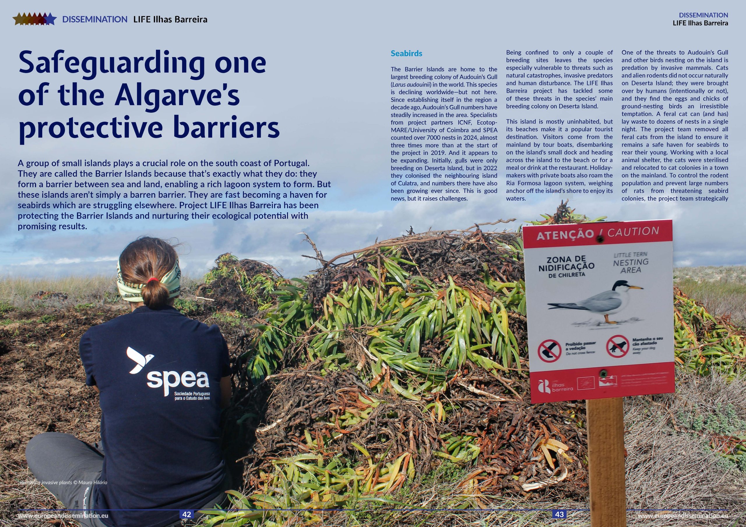 LIFE Ilhas Barreira — Predator Removal & Seabird Recovery on Ria Formosa's Barrier Islands (Portugal)