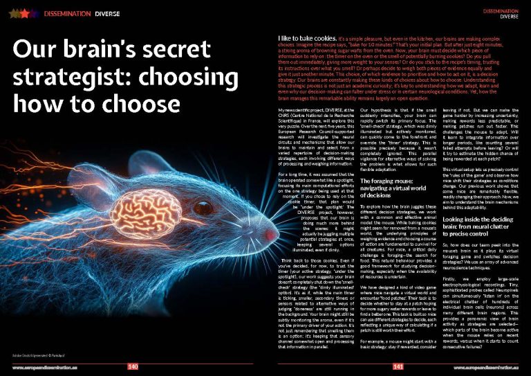 Our brain’s secret strategist: choosing how to choose