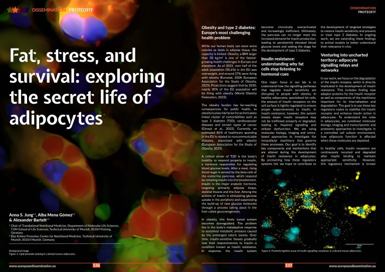 Fat, stress, and survival: exploring the secret life of adipocytes