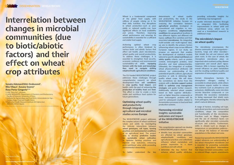 Interrelation between changes in microbial communities (due to biotic/abiotic factors) and their effect on wheat crop attributes