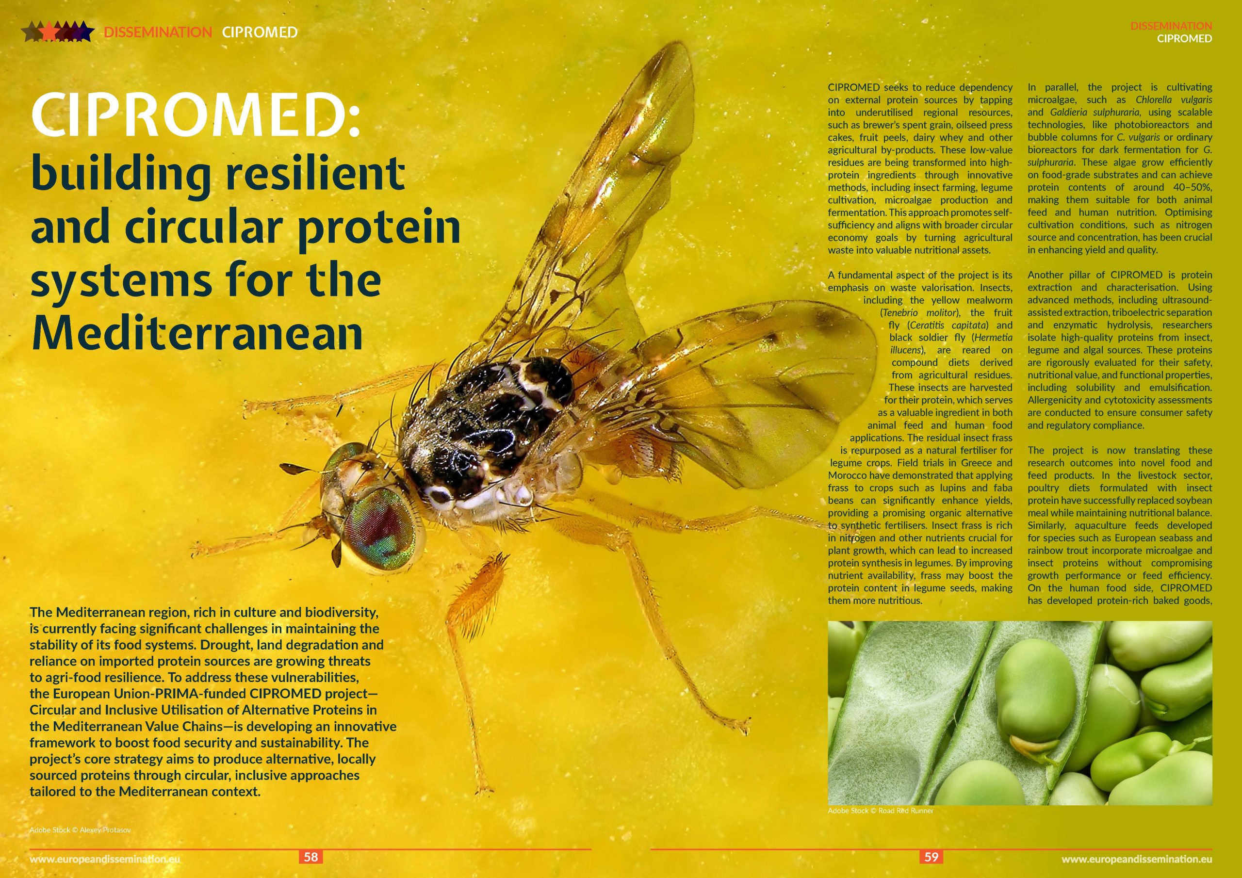 Edma Building CIPROMED: building resilient and circular protein systems for the ...