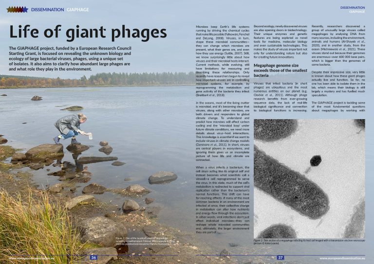 Life of giant phages