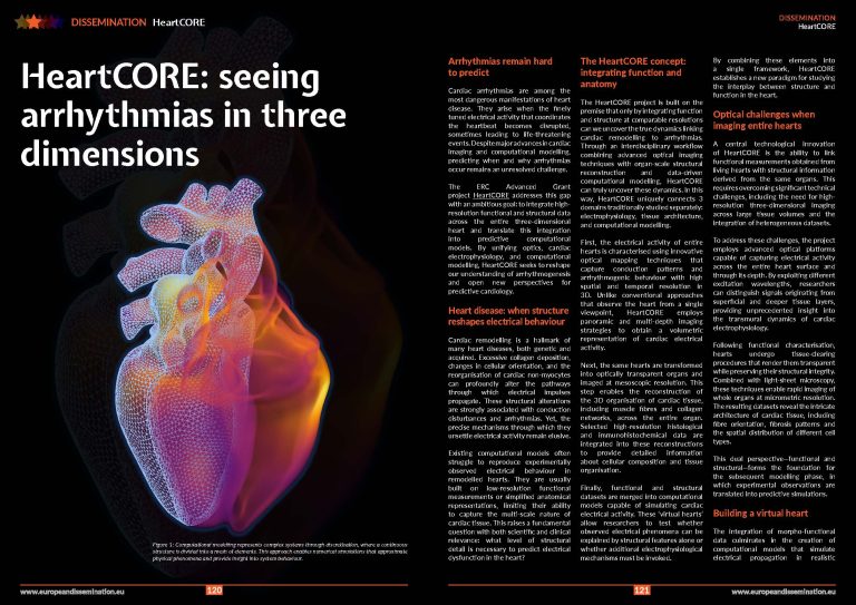 HeartCORE: seeing arrhythmias in three dimensions