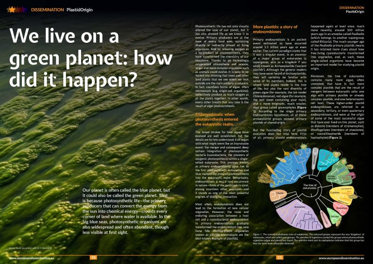 We live on a green planet: how did it happen?