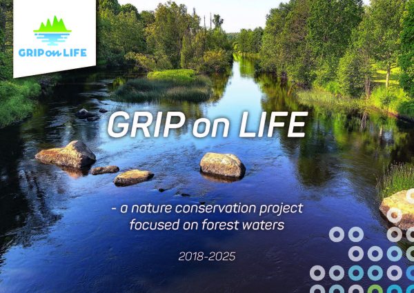 Pages from Grip on Life – a Nature Conservation Project with Forest Water in Focus.pdf