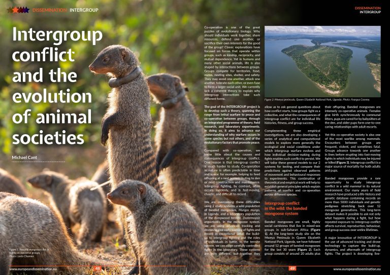 Intergroup conflict and the evolution of animal societies